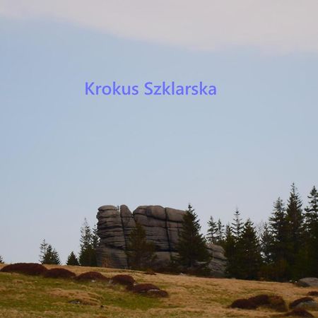 Apartament Krokus Szklarska Szklarska Poręba Zewnętrze zdjęcie