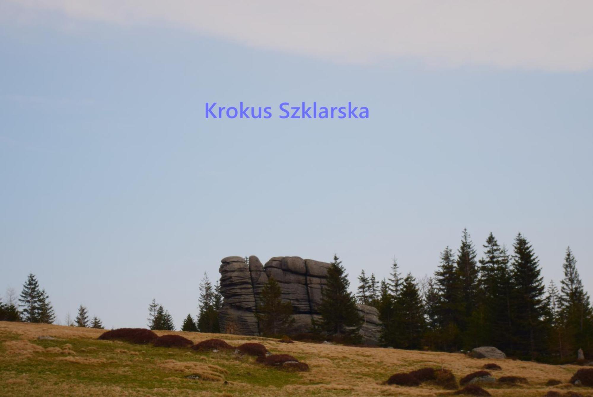 Apartament Krokus Szklarska Szklarska Poręba Zewnętrze zdjęcie
