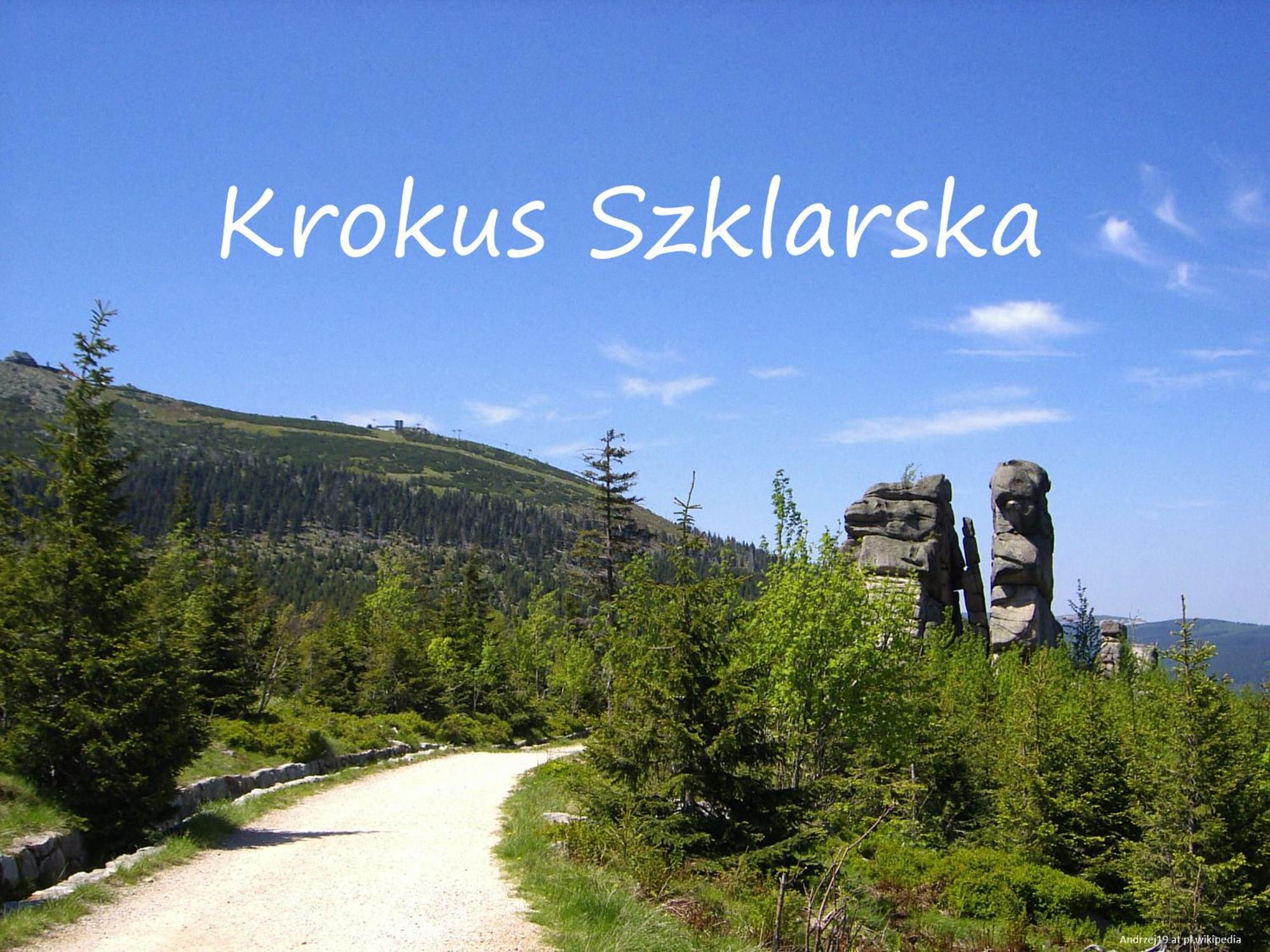Apartament Krokus Szklarska Szklarska Poręba Zewnętrze zdjęcie